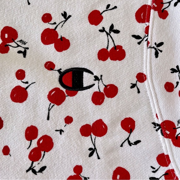 Champion + HVN for Urban Outfitters Cheery Hoodie Sweatshirt, S - Picture 6 of 16